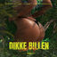 Cover Dikke Billen Holle Rug
