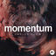 Cover Momentum