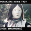 Cover Życie Zmarnować