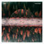Cover Tomtebo