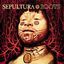 Cover Roots