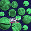 Cover Hollow (Deluxe Version)