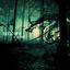 Cover From the Shadows