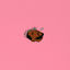 Cover Kendrick's Lullaby