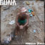 Cover Guaia