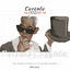 Cover Maxximum - Cartola
