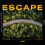 Cover Escape