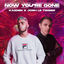 Cover Now You're Gone