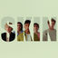 Cover SKIN