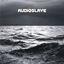 Cover Out of Exile