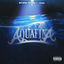Cover Aquafina (feat. MB Nel)