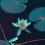 Cover Lily