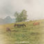 Cover In Need of Remedy