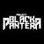 Cover Project Black Pantera