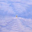 Cover Stranger
