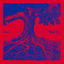 Cover ROOTS