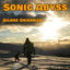 Cover Sonic Abyss