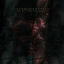 Cover The Divine Stigmata