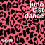Cover Last Dance