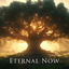Cover Eternal Now