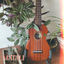 Cover Matalí