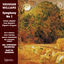 Cover Vaughan Williams: Symphony No. 5 & Scenes from Pilgrim's Progress