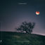 Cover Stream of Consciousness