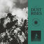 Cover Dust Rises