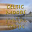 Cover The Celtic Heartbeat Collection
