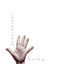 Cover Lifestories (Album)