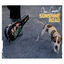 Cover Sunshine Road