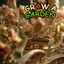 Cover Morning Mood (From Roblox Grow A Garden) (Piano Version)