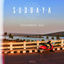 Cover Touchdown Goa