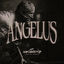Cover Angelus, Vol. 1
