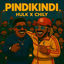Cover PINDIKINDI