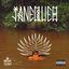 Cover Janequeo