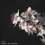 Cover Mono No Aware