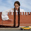 Cover Косички