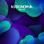 Cover Astronomia (Coffin Dance)