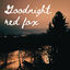 Cover Goodnight red fox