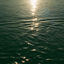 Cover Tides
