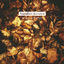 Cover Ambered Autumn