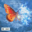 Cover Say What You Mean