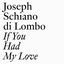 Cover If You Had My Love