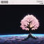 Cover Hidden Feelings