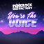 Cover You're the Voice