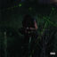 Cover SLIMYFELLA