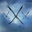 Cover XXX