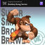 Cover Donkey Kong Series (Original Soundtrack)