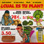 Cover ¿Cual Es Tu Plan?